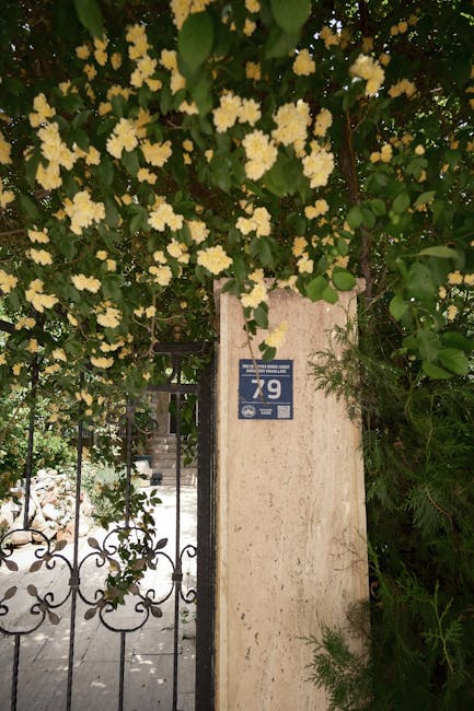 Vitamins and Minerals Collection