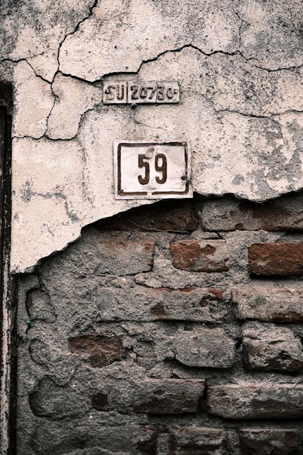 Immunity and Gut Health Probiotics