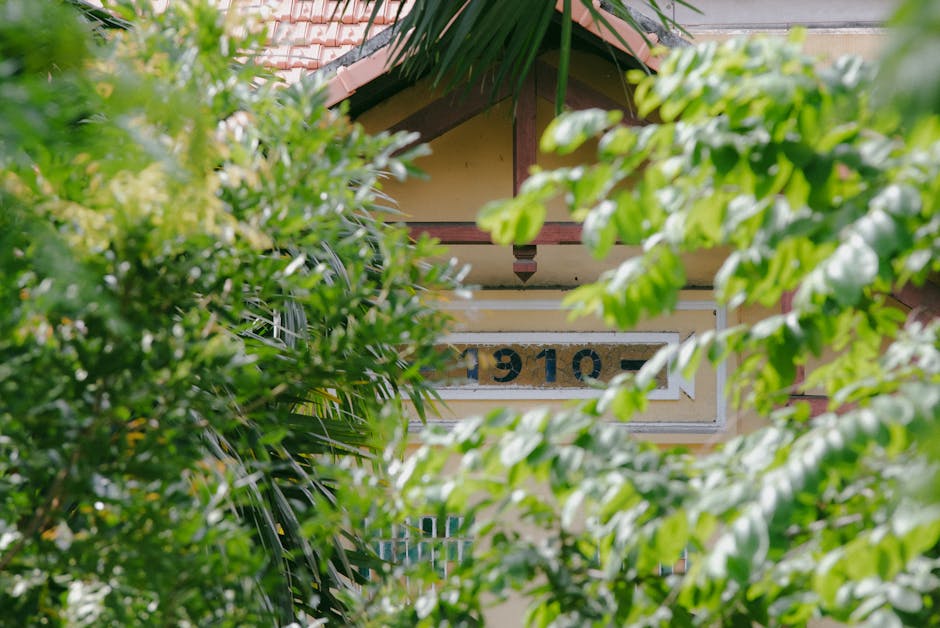 New Arrivals and Bundles